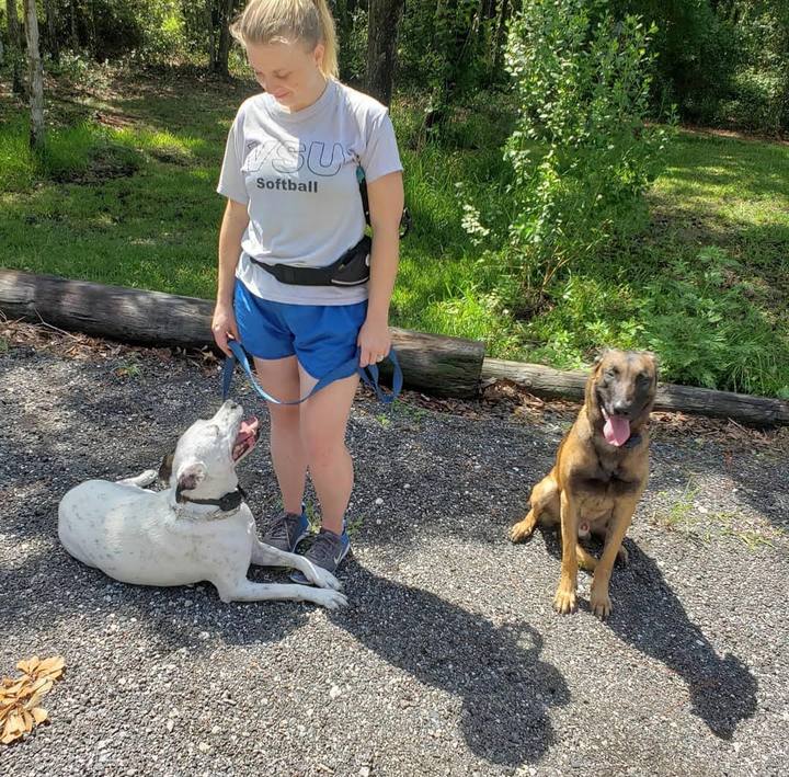 An owner practicing a down stay with her dog during a training session